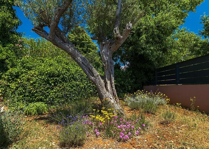 Martulin 펜션 풀라